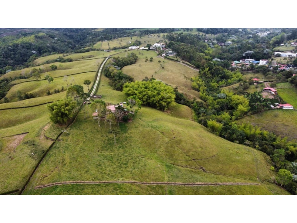 ESPECTACULAR TERRENO 40.000 M2 BOSQUE NATIVO Y RIO - 2