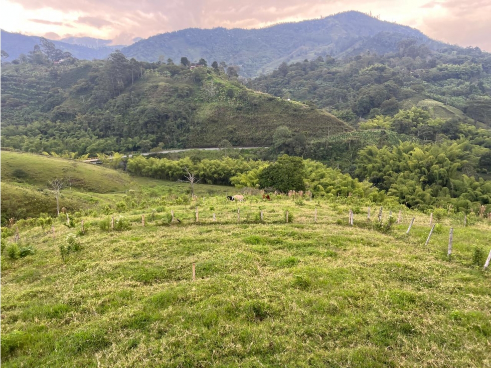 VENTA FINCA 8 CUADRAS AVENIDA CENTENARIO ARMENIA