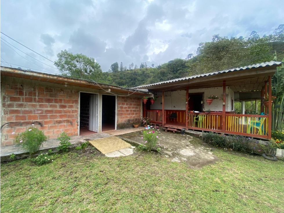 HERMOSA FINCA SALENTO. - 6