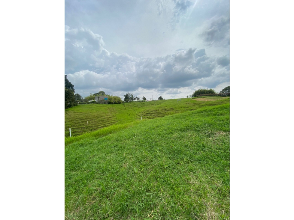 VENTA LOTE 15 MINUTOS CIRCASIA 5000M2 - 3
