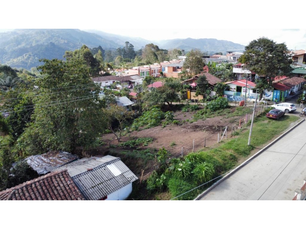 VENTA LOTE URBANO 1000 M2 SALENTO - 3
