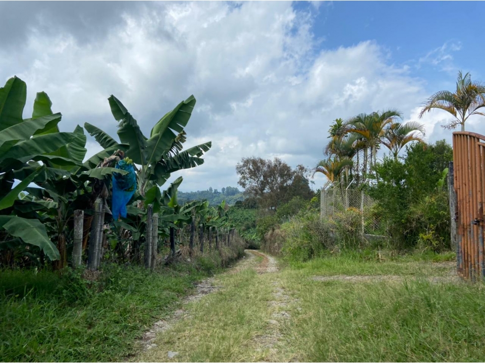 VENTA FINCA 72 CUADRAS CIRCASIA — foto 6