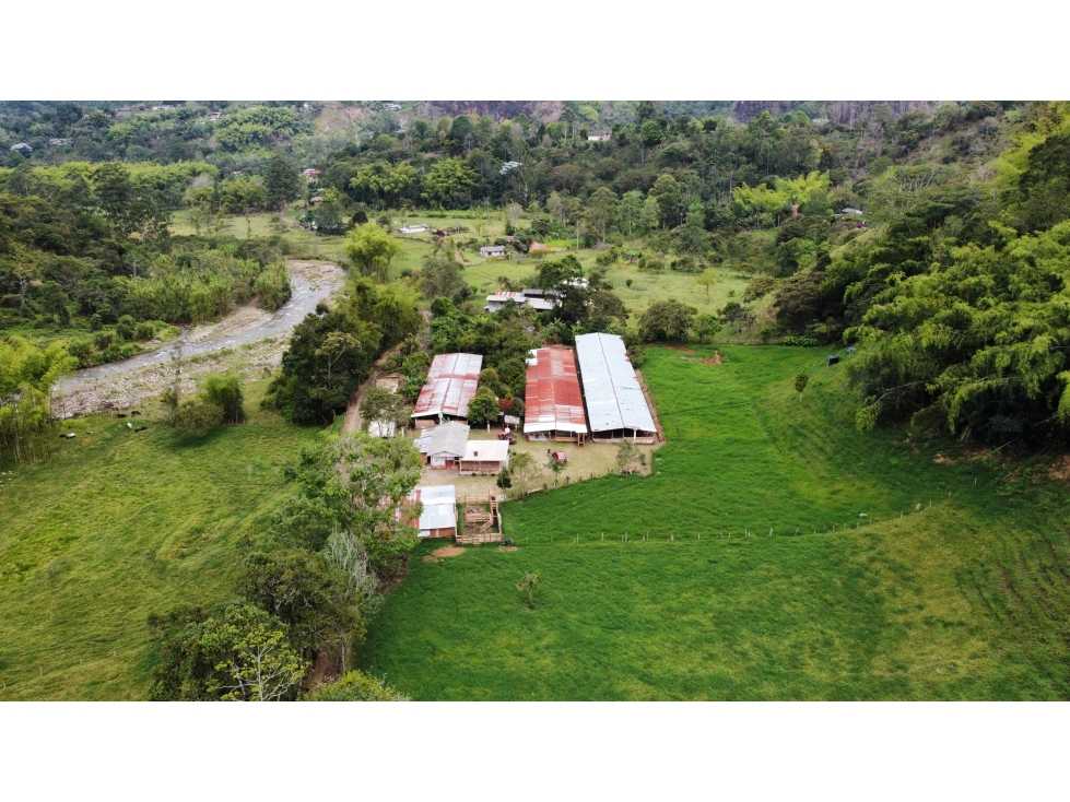 HERMOSA FINCA SALENTO. - 4
