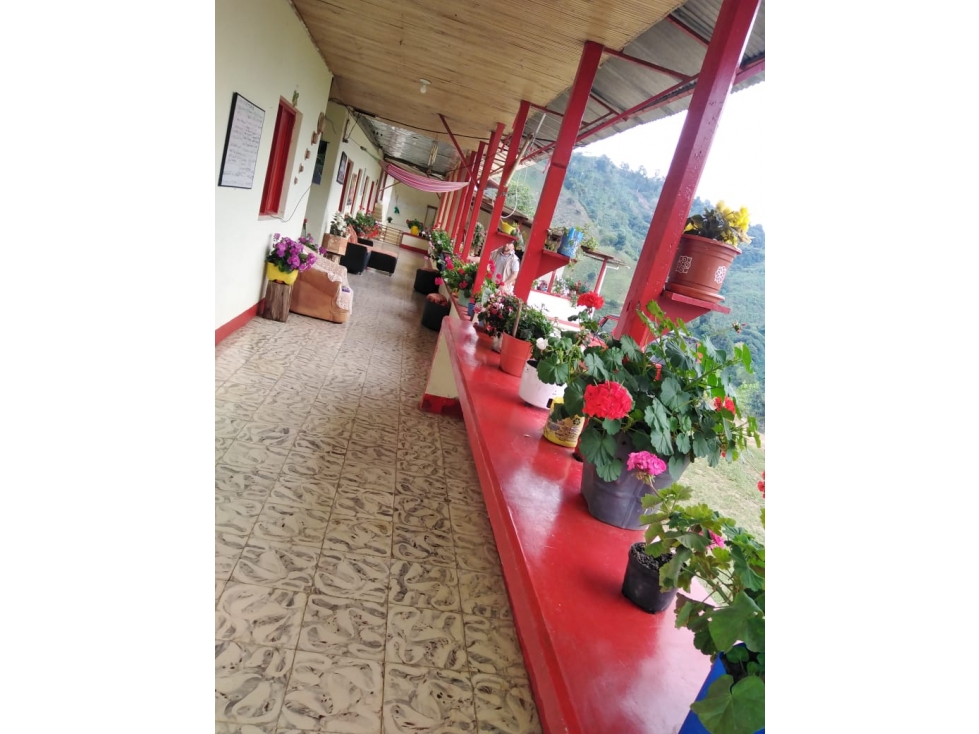 VENTA FINCA PIJAO . A 20 MINUTOS DEL PUEBLO. 77 CUADRAS - 4