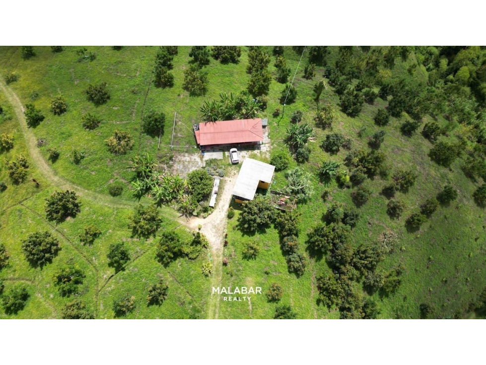 VENTA FINCA 17 CUADRAS ENTRE FILANDIA Y QUIMBAYA - 1