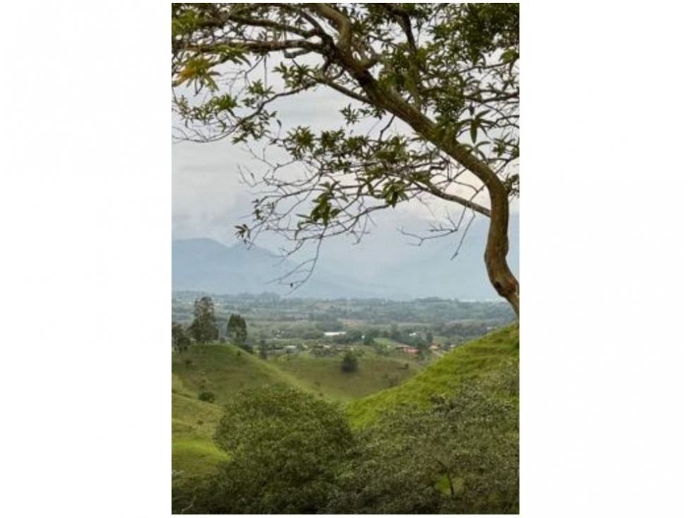 VENTA LOTE FILANDIA AREA 8844 M2 - 5