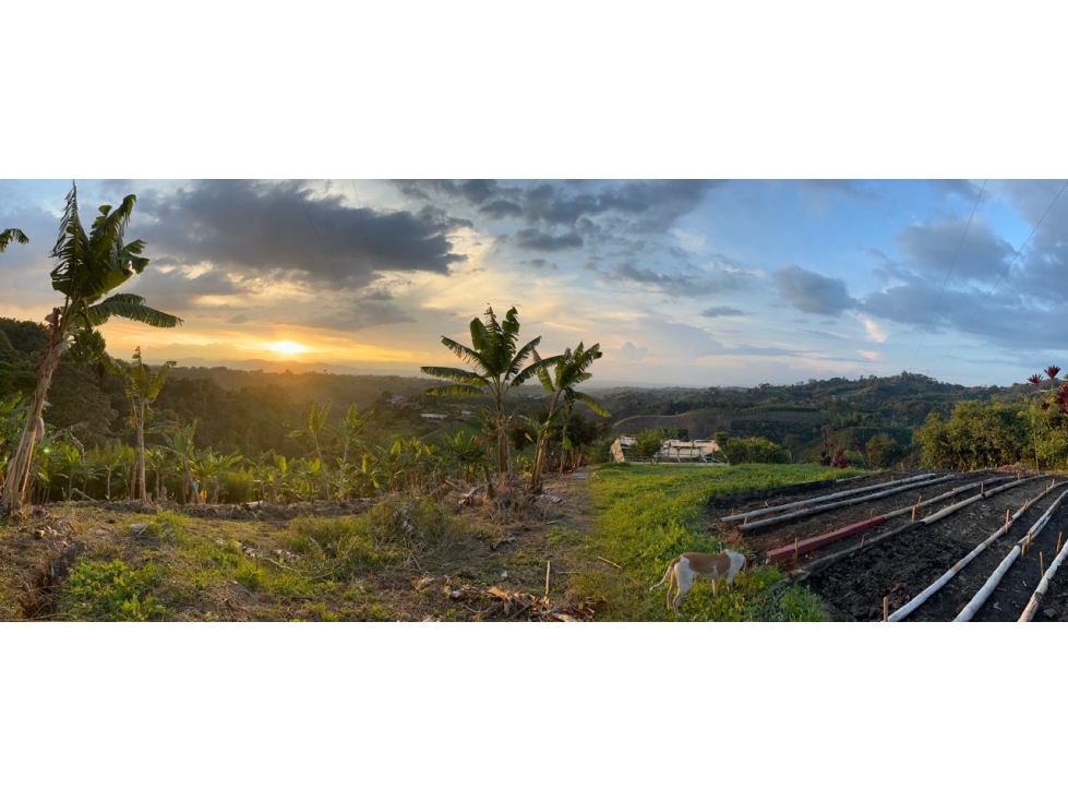VENTA HERMOSA FINCA FILANDIA - 1