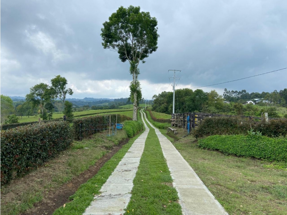 ESPECTACULAR TERRENO 40.000 M2 BOSQUE NATIVO Y RIO - 3