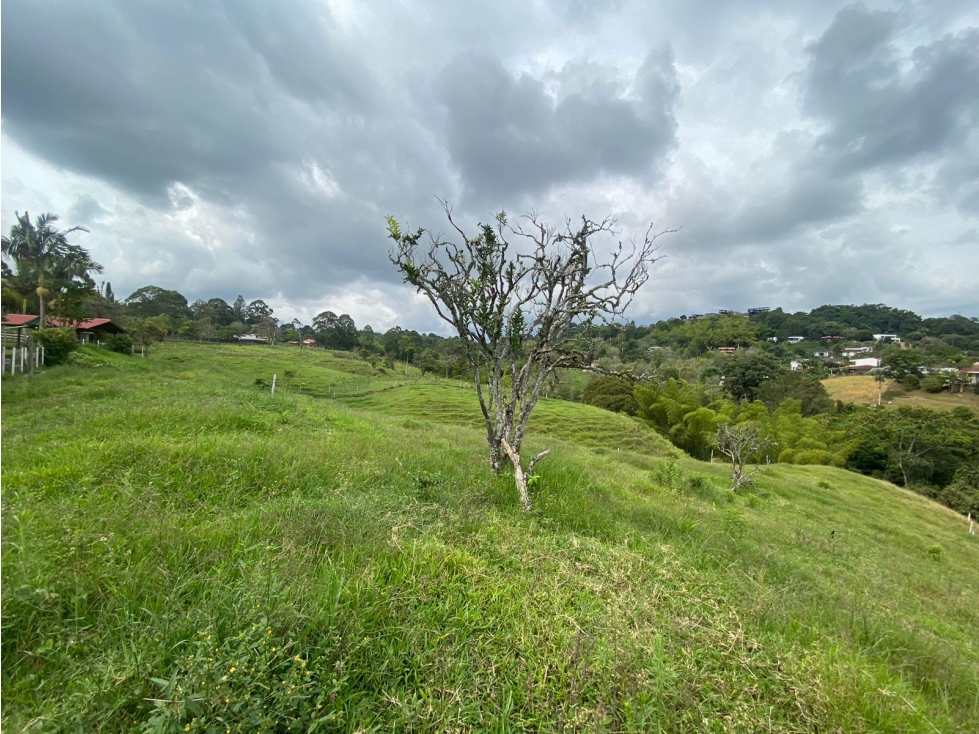 VENTA LOTE 15 MINUTOS CIRCASIA 5000M2 - 4