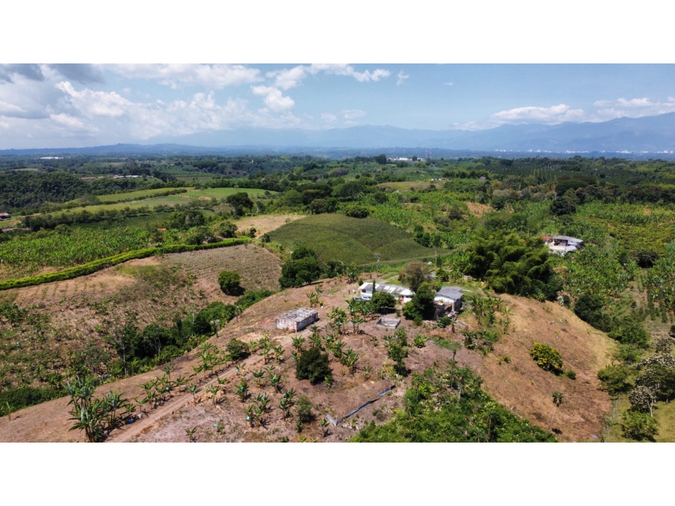 VENTA DE FINCA EN MONTENEGRO QUINDIO — foto 4