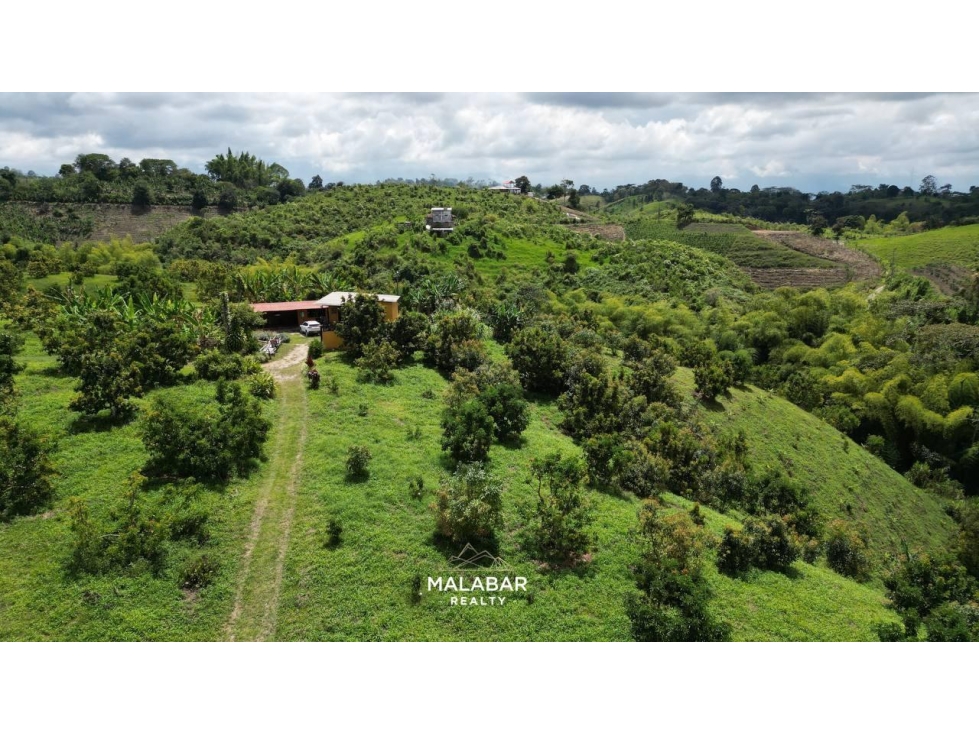 VENTA FINCA 17 CUADRAS ENTRE FILANDIA Y QUIMBAYA - 2