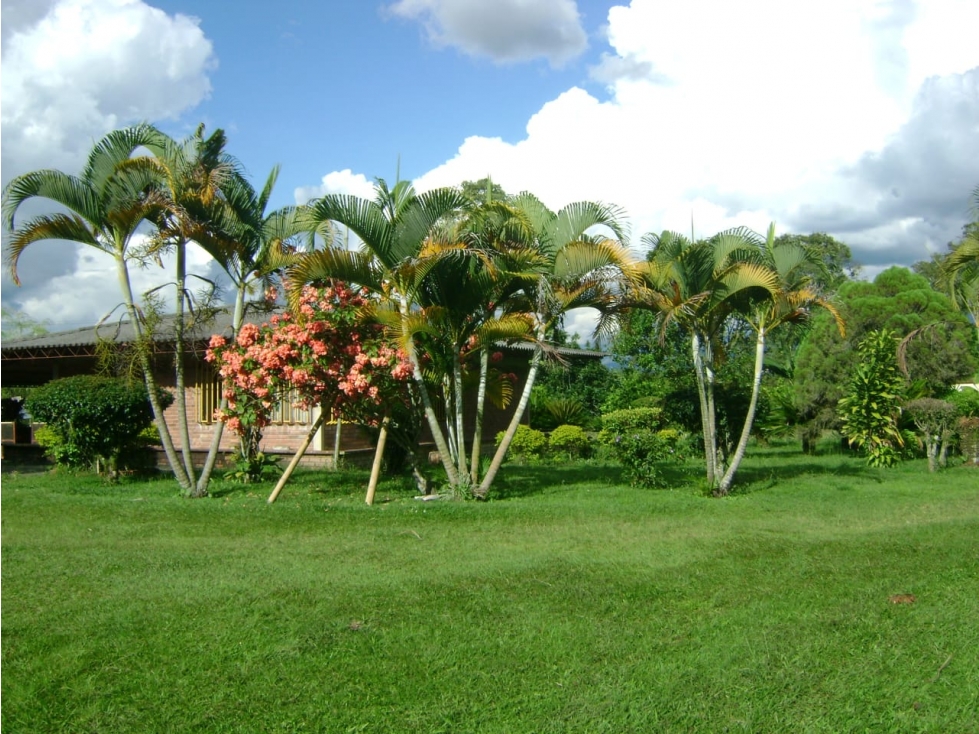 FINCA 5 CUADRAS VEREDA MURILLO. 10 MINUTOS ARMENIA. $1'800.000.000