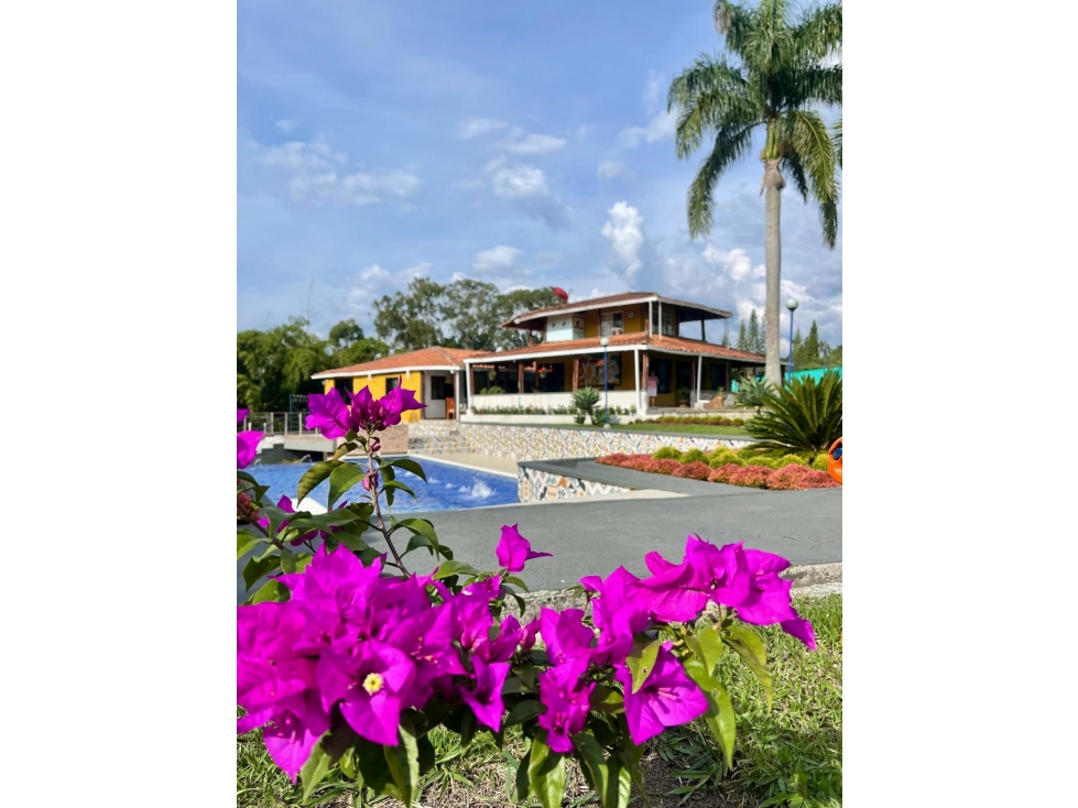 VENTA CASA CAMPESTRE INDEPENDIENTE CIRCASIA — foto 5