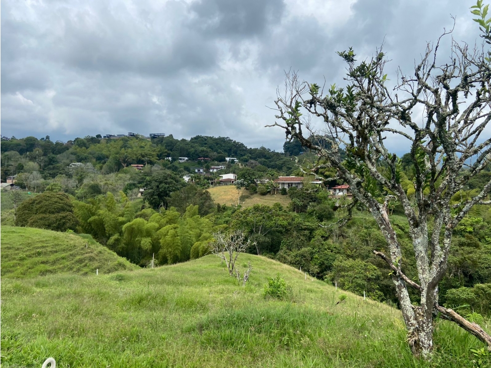 VENTA LOTE 15 MINUTOS CIRCASIA 5000M2 - 5