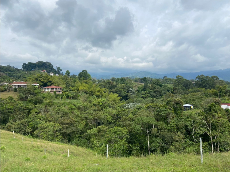 VENTA LOTE 15 MINUTOS CIRCASIA 5000M2 - 6