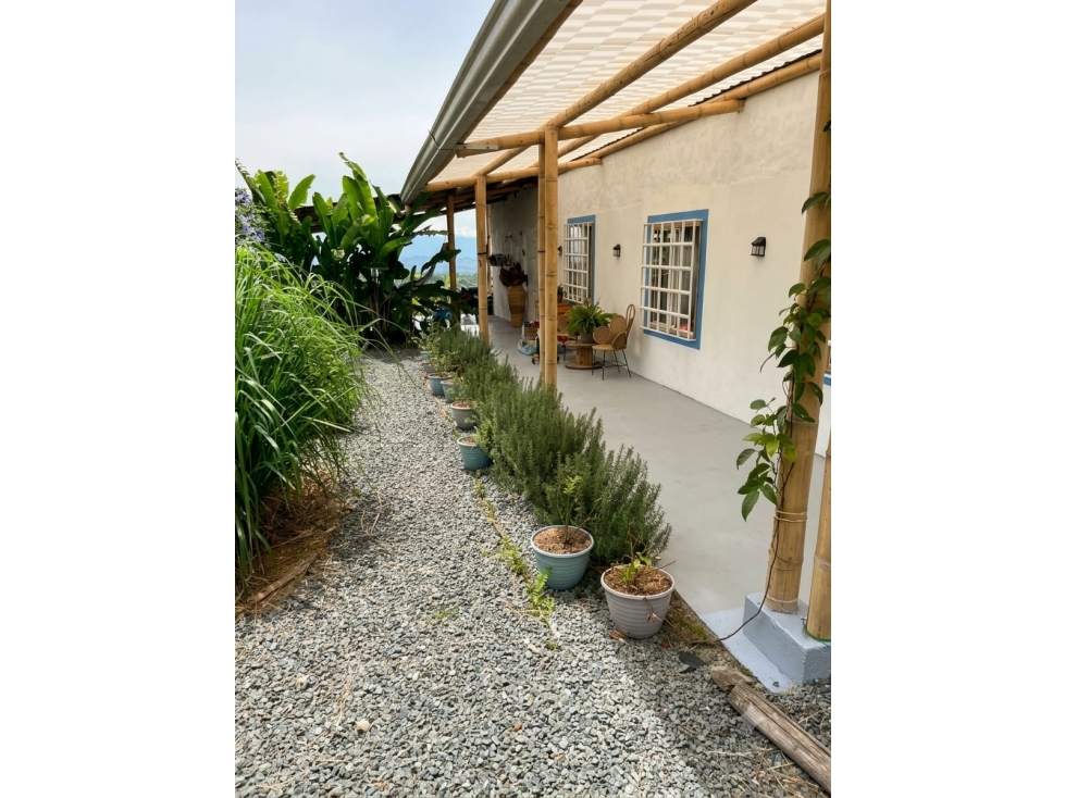 VENTA HERMOSA FINCA FILANDIA - 6