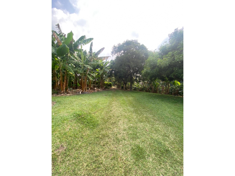 VENTA FINCA 72 CUADRAS CIRCASIA — foto 4