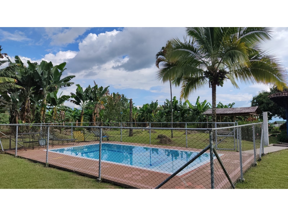 VENTA FINCA 15600 M2 ENTRE ARMENIA Y CALARCA — foto 3