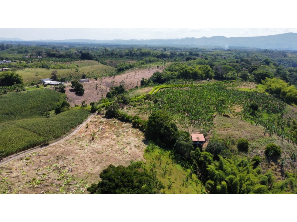 VENTA DE FINCA EN MONTENEGRO QUINDIO — foto 2