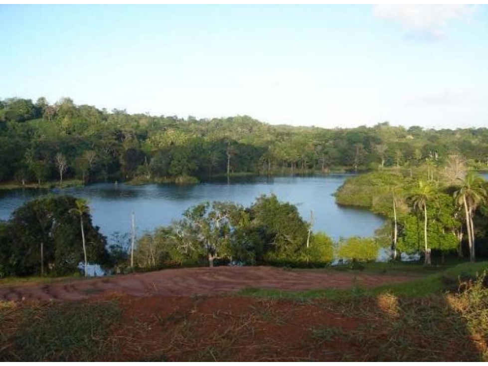 Venta: Finca de 100 Hectáreas frente al Lago Gatún - 2
