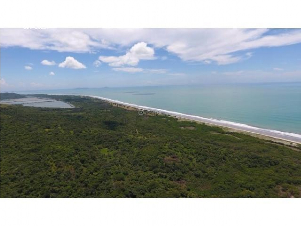 Venta 50.5 Hectáreas en Playa Caracol, Chame — foto 3