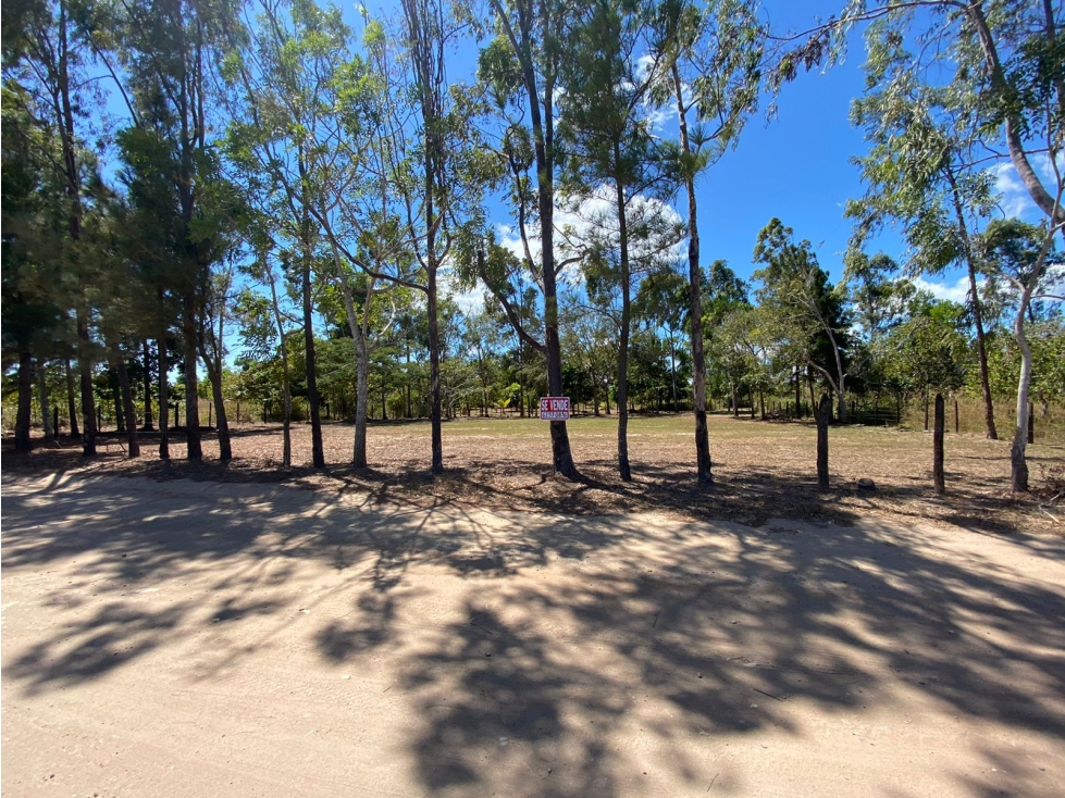 Venta: Terreno en Sea Cliff, Río Hato - 4