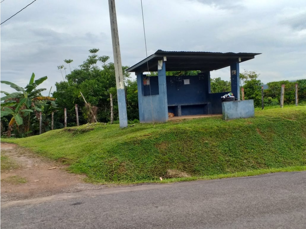 Venta: Finca de 6 hectareas en Tambo de Penonomé - 2