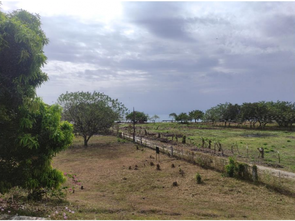 Venta de Terreno en Panamá Oeste, Nueva Gorgona — foto 5