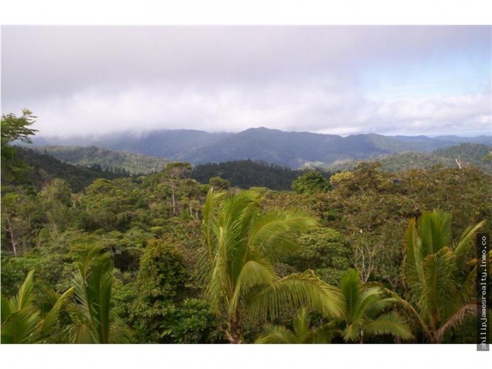 Venta: Finca de 525,000 m2 en Cerro Azul - 3