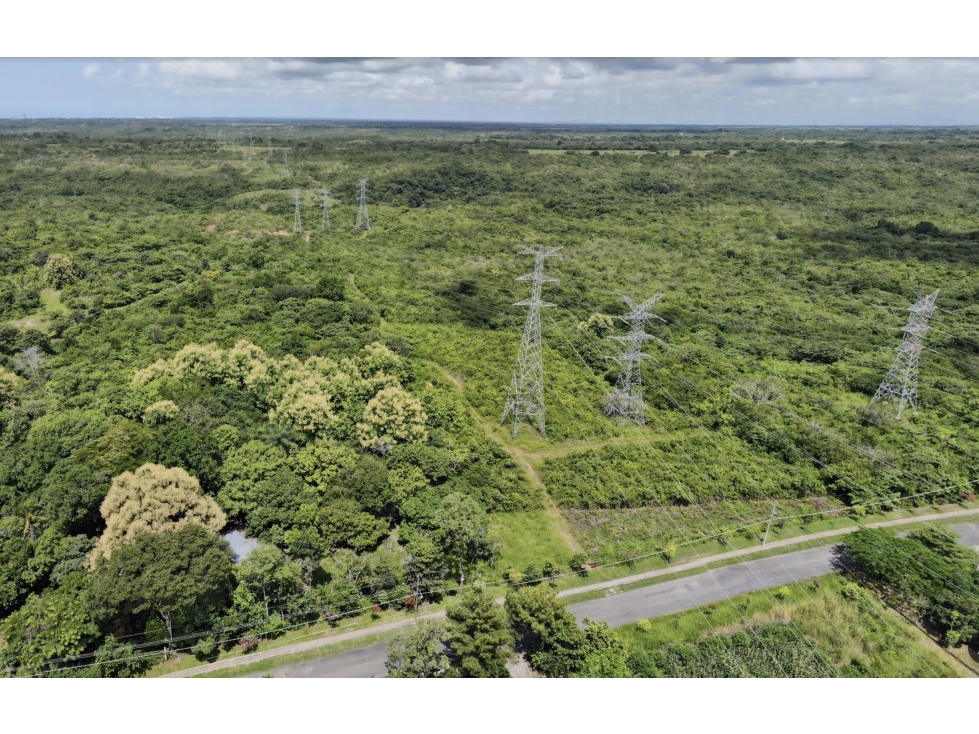 Venta de Fincas en La Ermita, San Carlos - 4