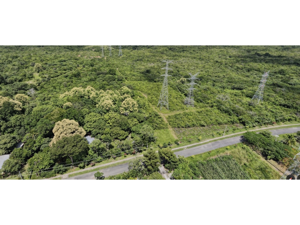 Venta de Fincas en La Ermita, San Carlos - 2
