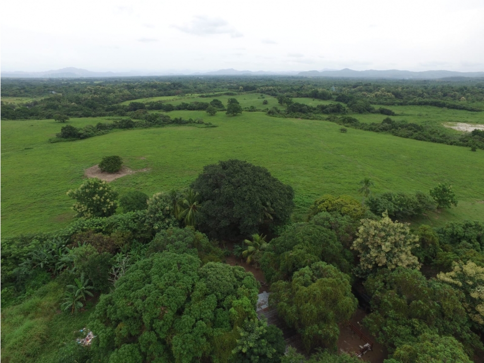 Venta de Terreno en Antón - 1