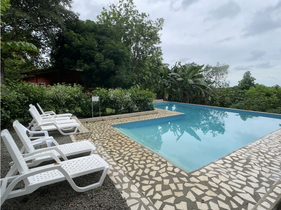 Venta: Lote de 4hcts en La Ermita de san Carlos con Casa y Cabañas — foto 2