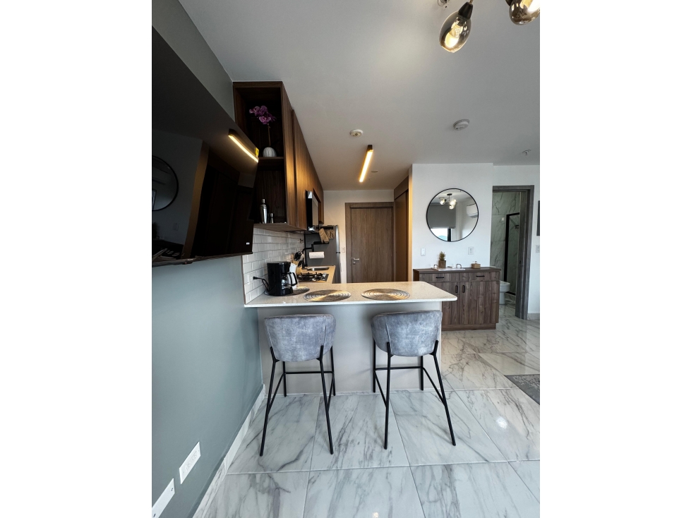 Venta de Apartamento en Obarrio, PH The Gray — foto 5