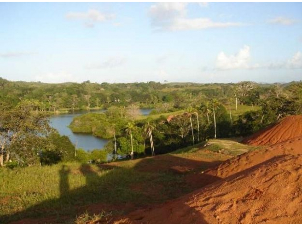 Venta: Finca de 100 Hectáreas frente al Lago Gatún - 5