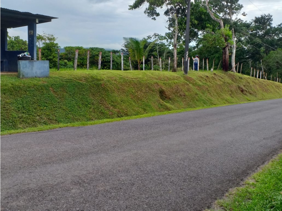 Venta: Finca de 6 hectareas en Tambo de Penonomé - 1