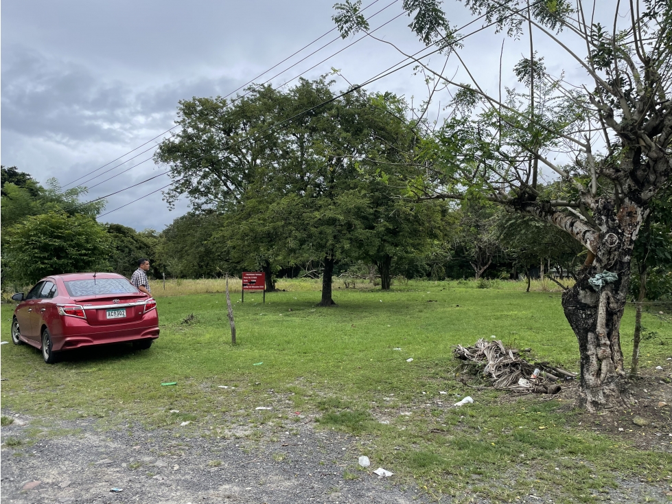 Venta: Lote a 3 minutos de la panamericana en Chame — foto 6