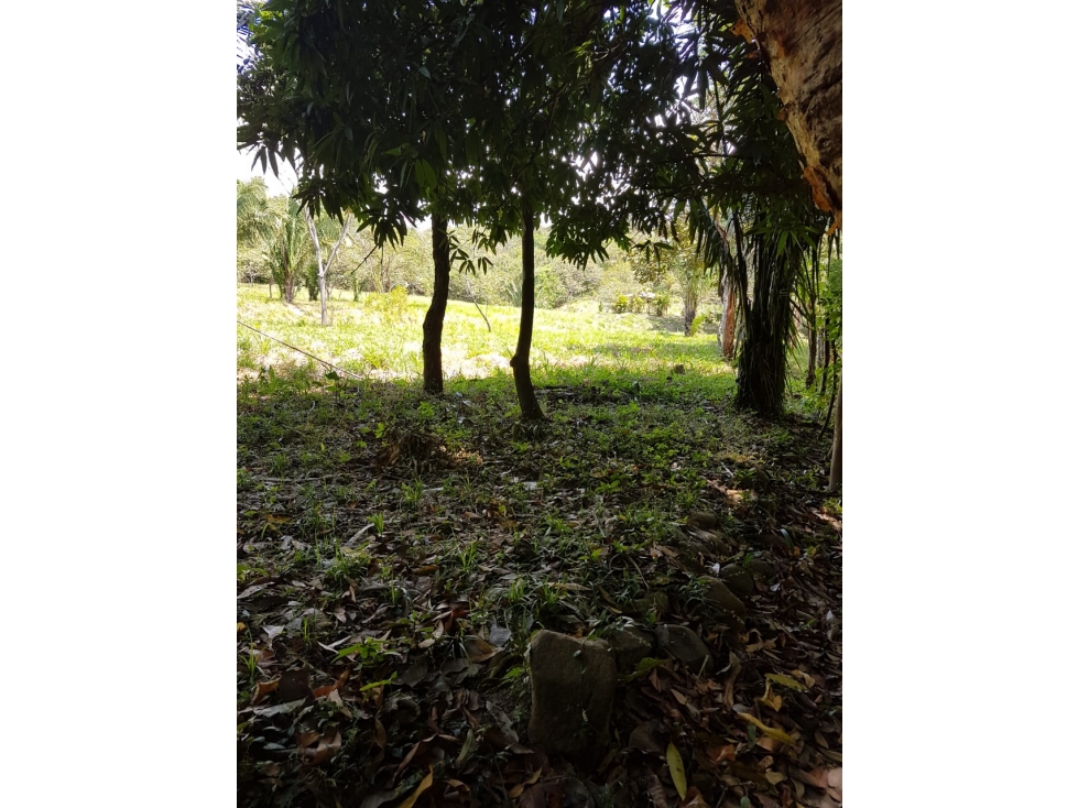 Finca en La Negrita, Penonomé - 5