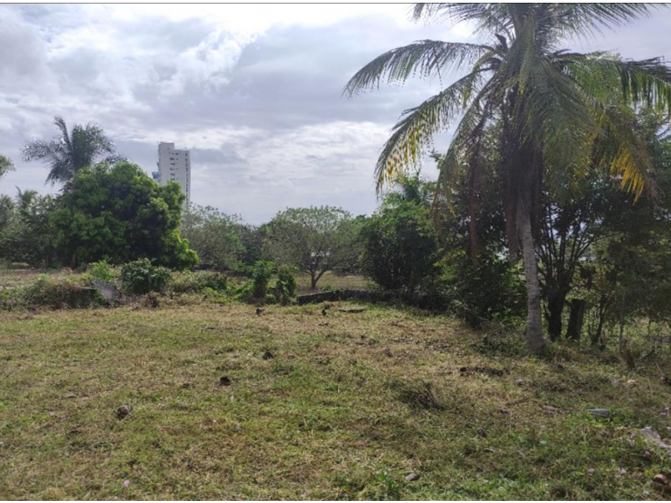 Venta de Terreno en Panamá Oeste, Nueva Gorgona — foto 6