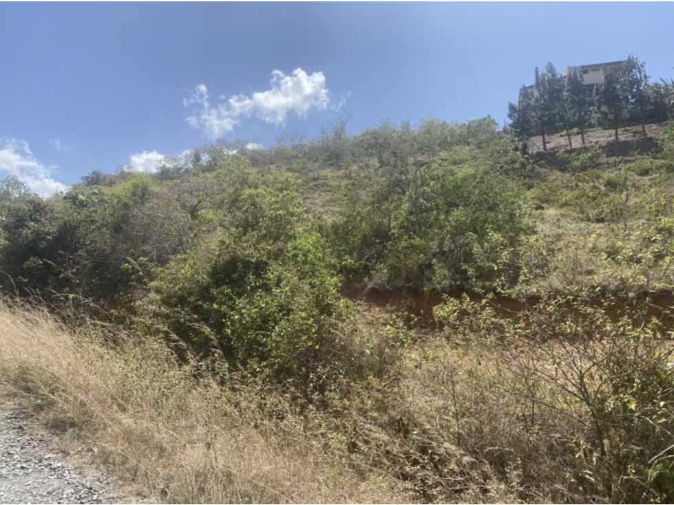 Venta de lotes en San Carlos, Los Llanitos — foto 5