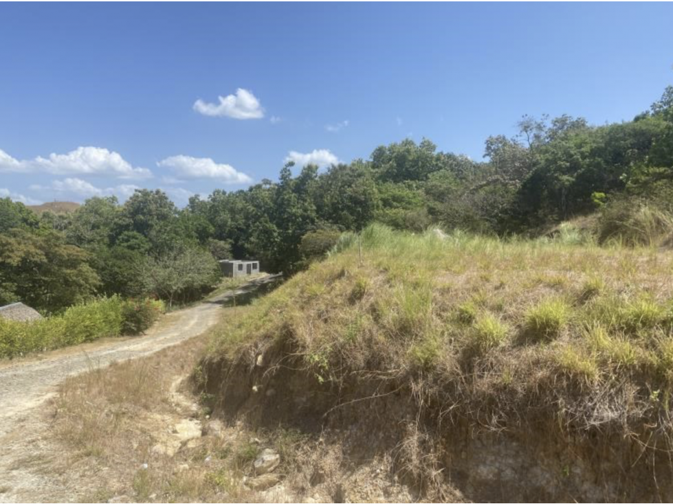 Venta de lotes en San Carlos, Los Llanitos — foto 3