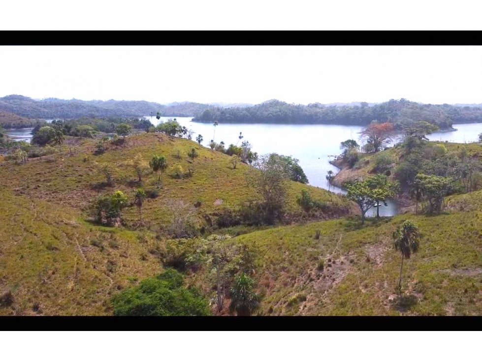 Venta de 6 hectáreas tituladas frente a Lago Bayano - 3