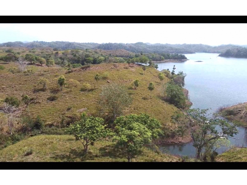 Venta de 6 hectáreas tituladas frente a Lago Bayano - 4
