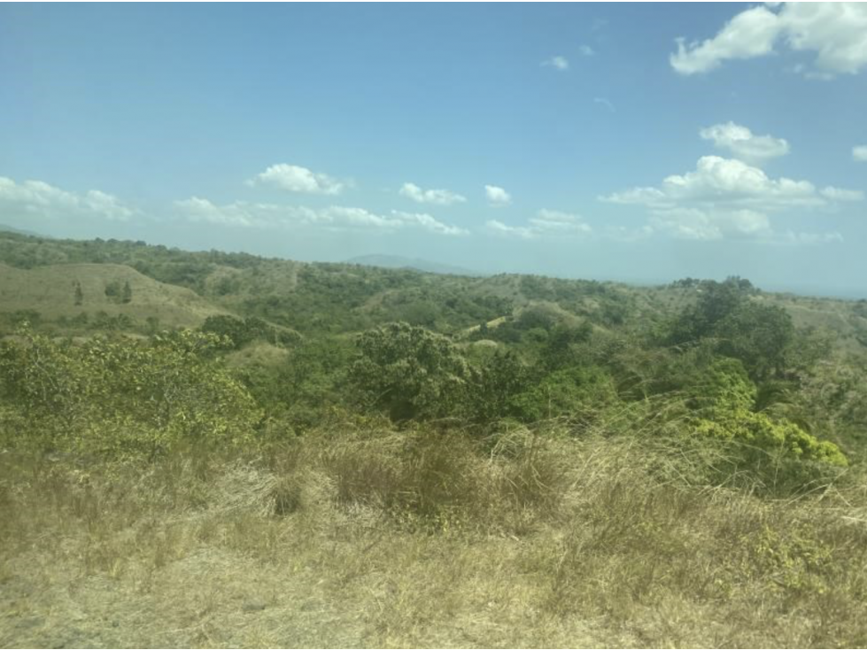 Venta de lotes en San Carlos, Los Llanitos — foto 2