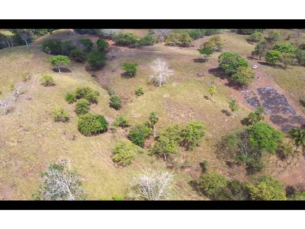 Venta de 6 hectáreas tituladas frente a Lago Bayano - 6