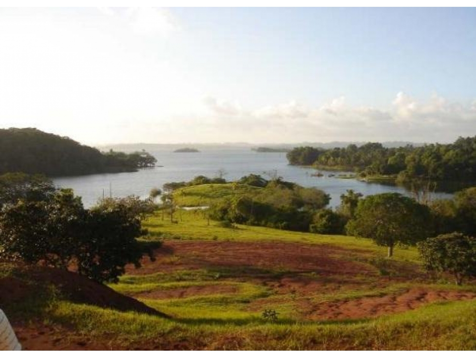 Venta: Finca de 100 Hectáreas frente al Lago Gatún - 3