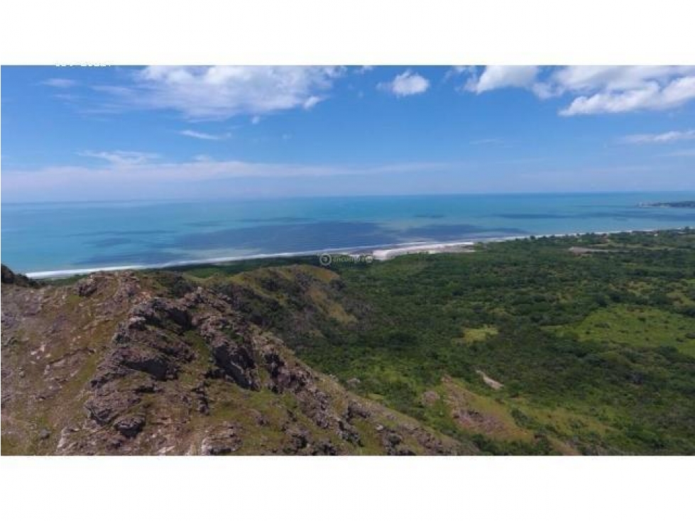 Venta 50.5 Hectáreas en Playa Caracol, Chame — foto 6