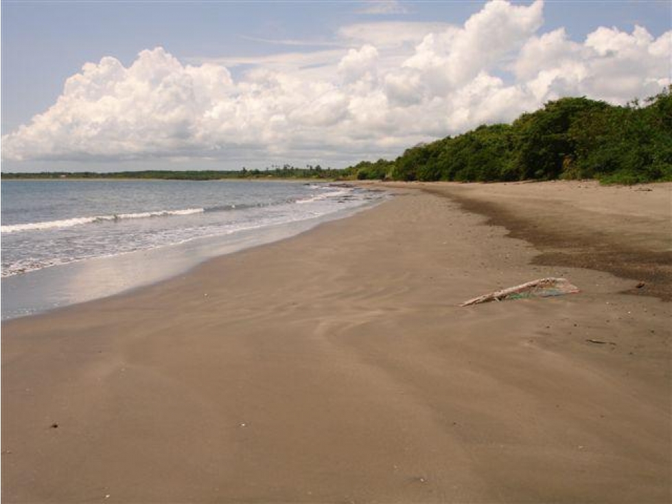 Venta: 3 lotes adyacentes con frente de playa en Las Tablas - 2