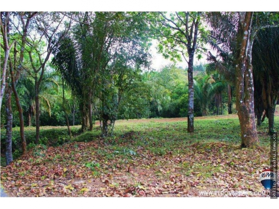 Venta: Terreno en Brisas de los Lagos, La Chorrera — foto 3