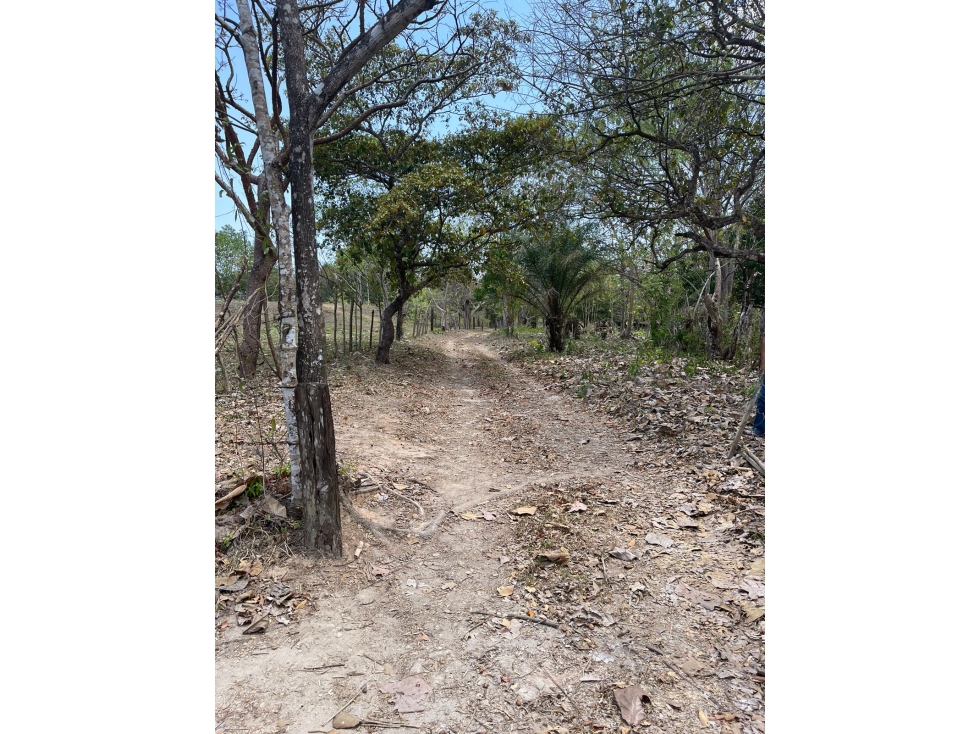 Venta: Terrenos en Río Hato - 4